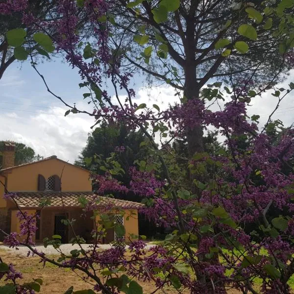 Il Montedoro, hotel a Guardistallo