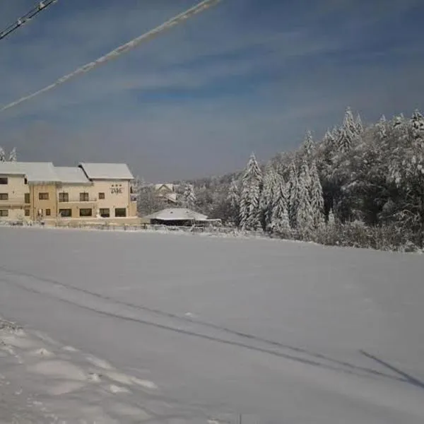 Pensiunea Diva, hotel in Pîrteştii de Sus