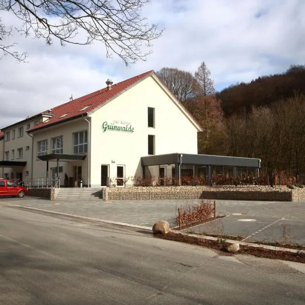 Hotel Grünwalde, hotel in Borgholzhausen