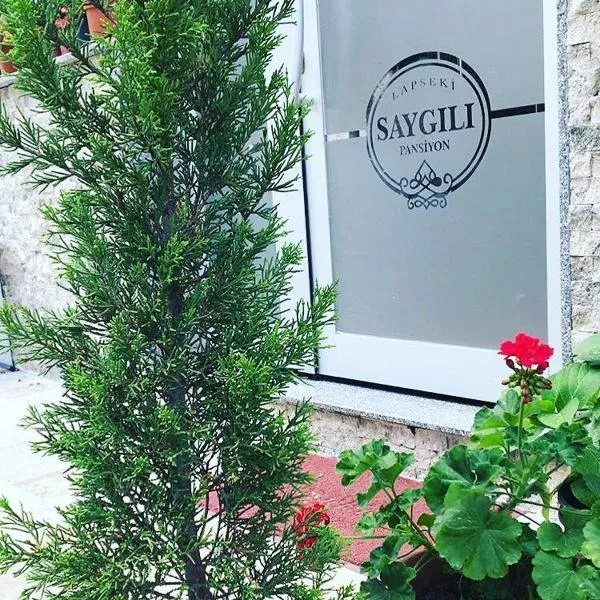 Saygılı Pan-Hotel, hotel v destinaci Lapseki