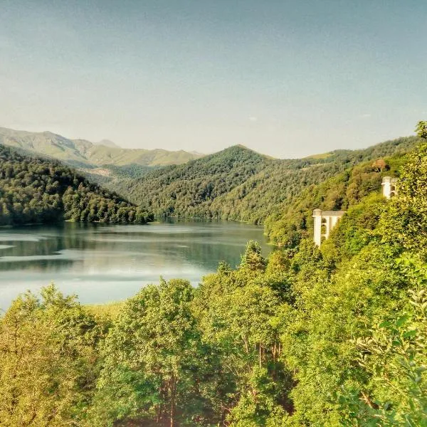 Goy Gol Lake Resort, hotel v destinaci Goygol