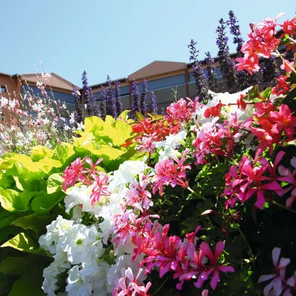 LES TERRASSES DE BORDA***, hotel i Dax