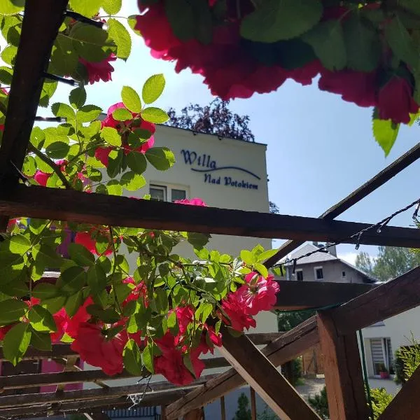 Willa Nad Potokiem, hotel v destinaci Kudowa-Zdrój