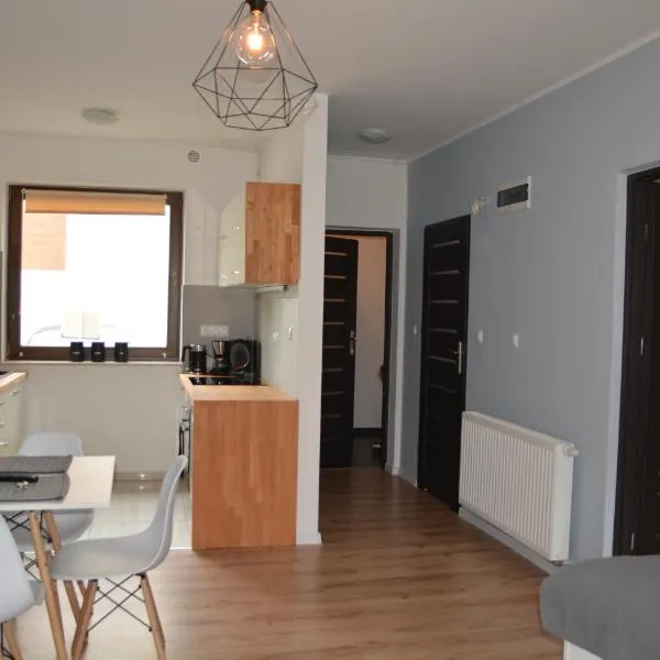 Apartament Fibra Flat White، فندق في Czernica