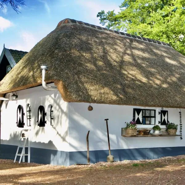 Bakhuisje op de Veluwe, hotel v destinaci Heerde