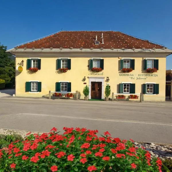 Guesthouse Avsenik, hotel in Zvirče