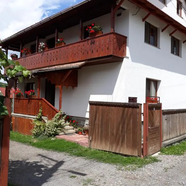 Molnár Vendeghaz, hotel v destinaci Praid