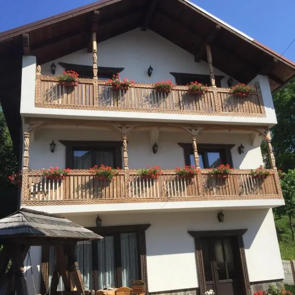 Pensiunea Rustic, hotel din Borşa