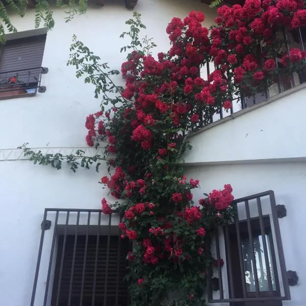 Casa Rural - Al Alba, hotel v destinácii Lanzahita