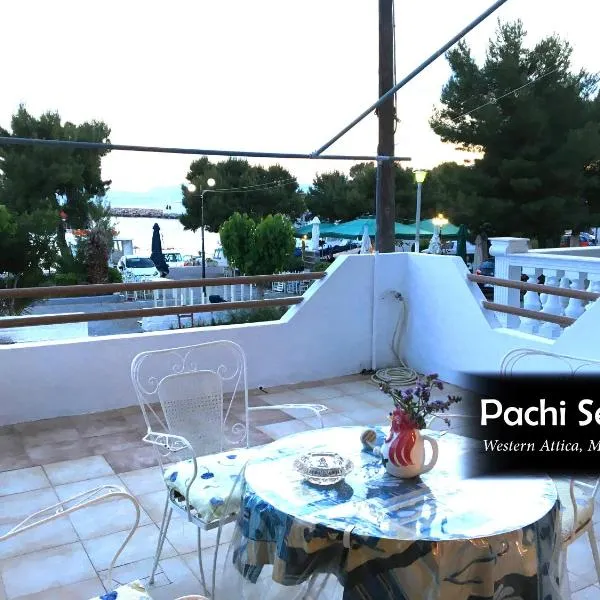 Pachi Seaside，內亞佩拉摩斯的飯店