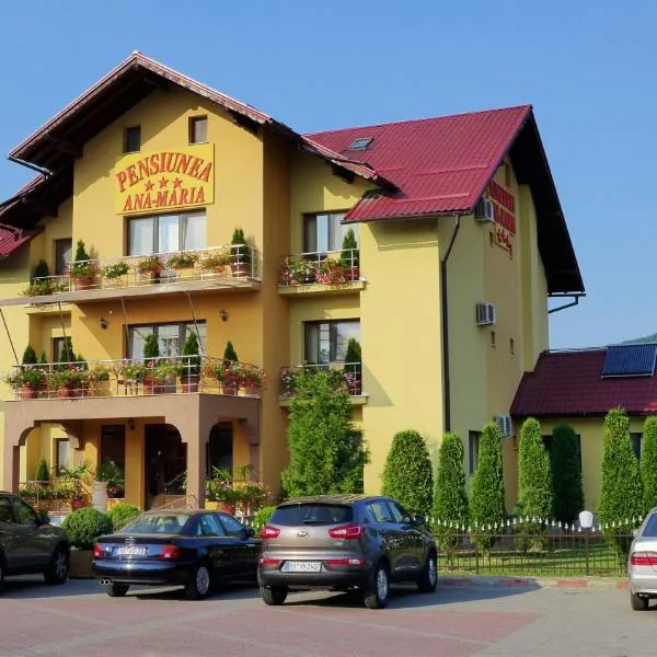 Pensiunea Ana Maria, hotel in Hălmagiu