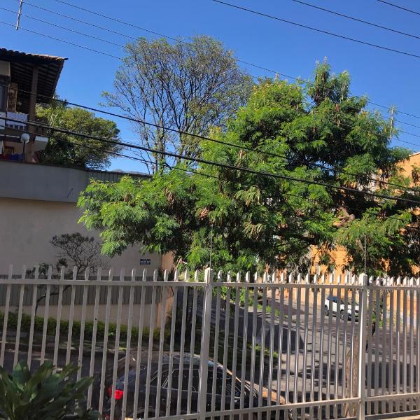 Canto do Gato - Foto 4