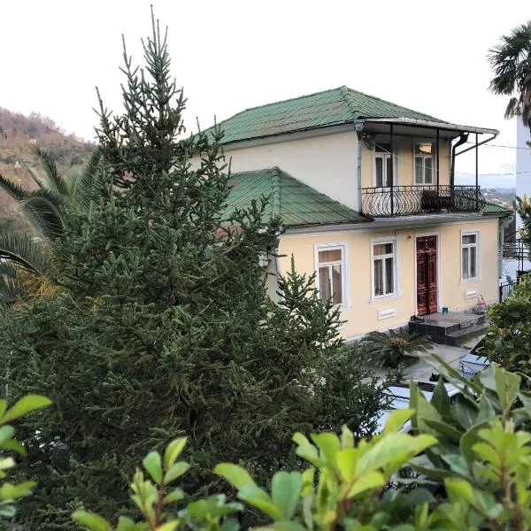 Guest House Lasha, отель в Мцване-Концхи