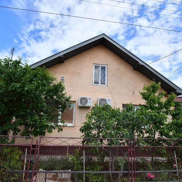 Kaza apartment, hotel in Kladovo