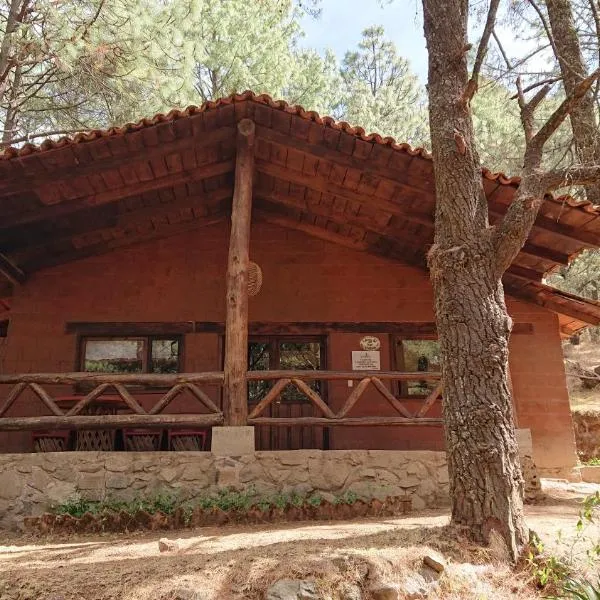 Cabañas Tapalpa Sierra del Tecuan, Cabaña Lince, hotel en Atemajac de Brizuela