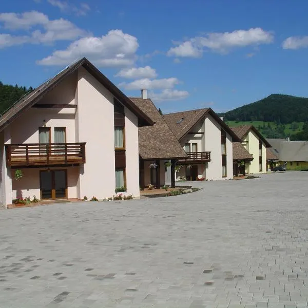 Complex Turistic Bucovina, hotel in Voivodeasa