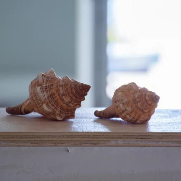 미르토스에 위치한 호텔 Stella's Beach House