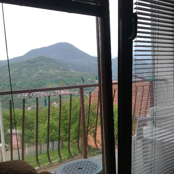 Smestaj Rakovic, hotel v destinaci Priboj