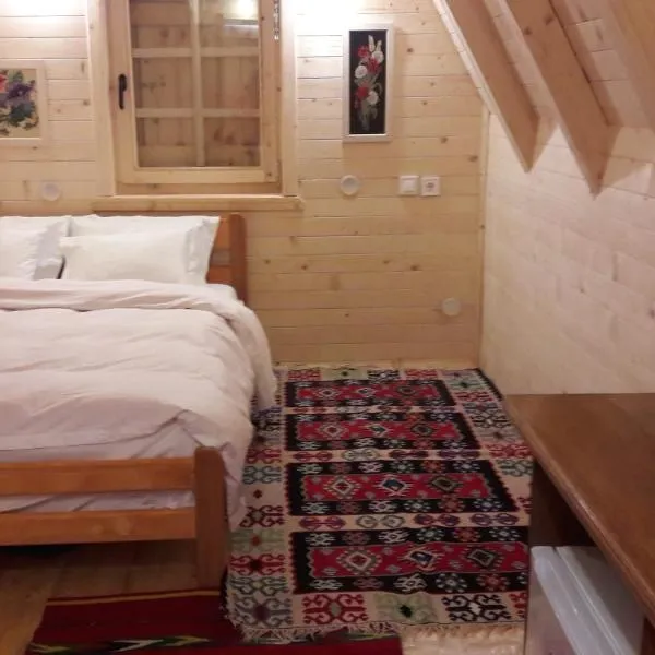 Karadžić, hotel na Žabljaku