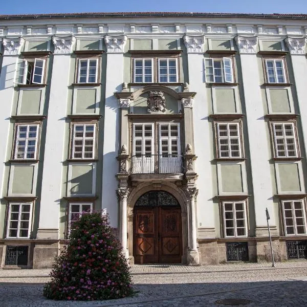 Althanský palác, hotel in Výrovice