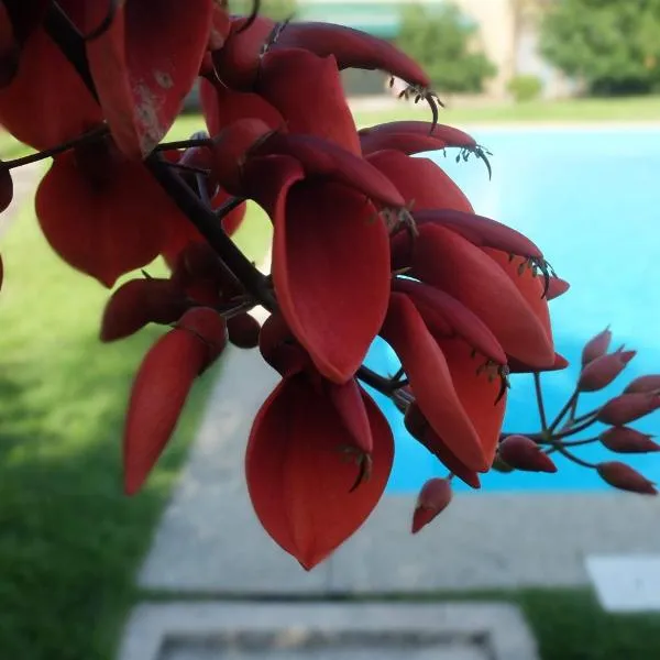 Casas da Azenha do Rio, hotel v destinaci Barreiros