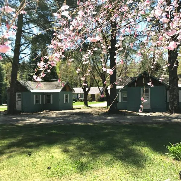 Pine Valley Cabins, hotel v destinaci Thornton