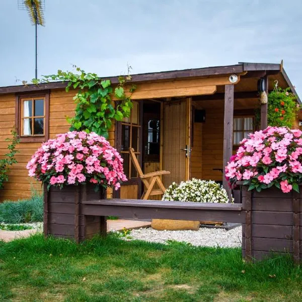 Jaunbirzes, hotel v destinaci Vecsaule