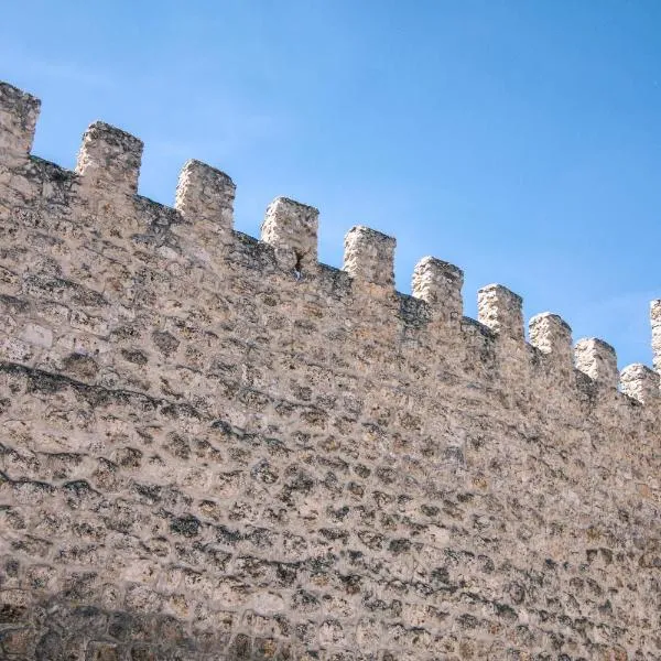 CASAS LA MURALLA、Canalejas de Peñafielのホテル