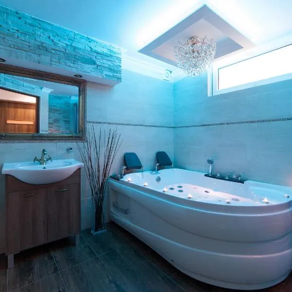 Willa Pod Łosiem, hotel v Krynici-Zdrój