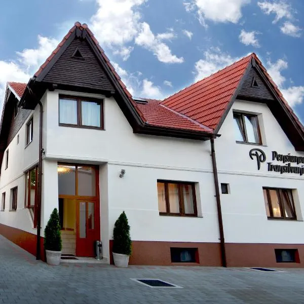 Pensiunea Transilvania, hotel i Caşolţ