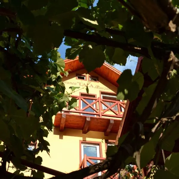 Pensiunea Lala, hotel v destinaci Băile Tuşnad