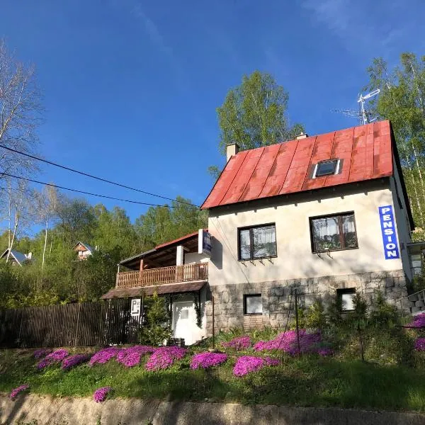 Penzion Tereza, hotel in Stříbrná