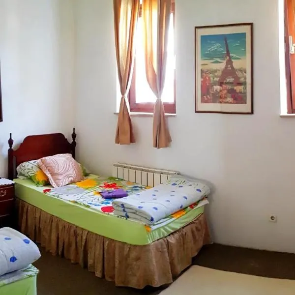 Hostel Pansion Lion, hotel Szarajevóban