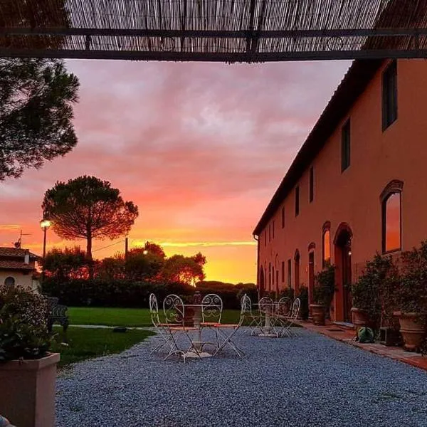 La Magnifica B&B, hotel em Fauglia