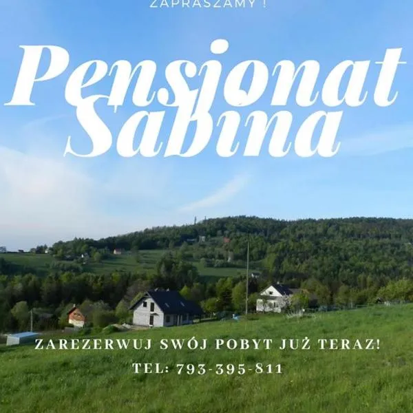 Pensjonat Sabina, hotel in Hucisko