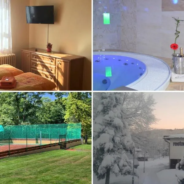 Penzion Relax, hotel v destinaci Rybniště