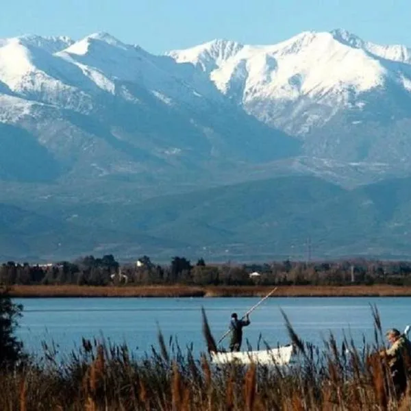 MOBILE HOME FOR YOU, hotel in Canet-en-Roussillon