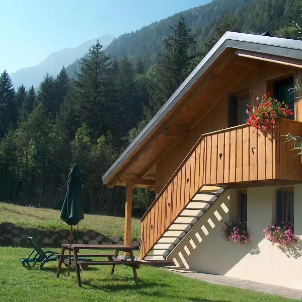 Chalet Presanella, hotel v destinaci Temu
