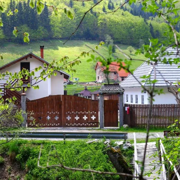 Gospodaria Lui Nea Ion, hotel in Vama Buzăului