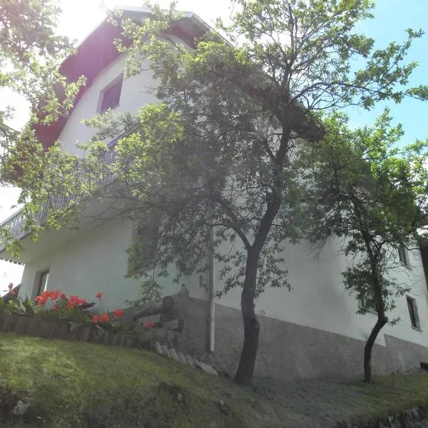 Pr' Hribar, hôtel à Zgornje Gorje