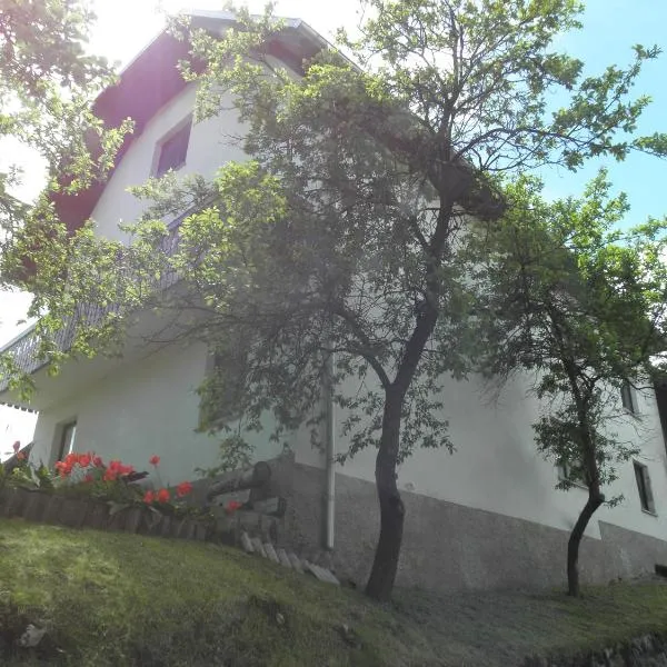 Pr' Hribar, hotel a Zgornje Gorje