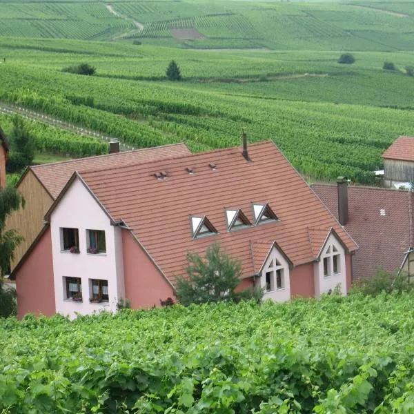 Studio chez le vigneron, hotell i Hunawihr