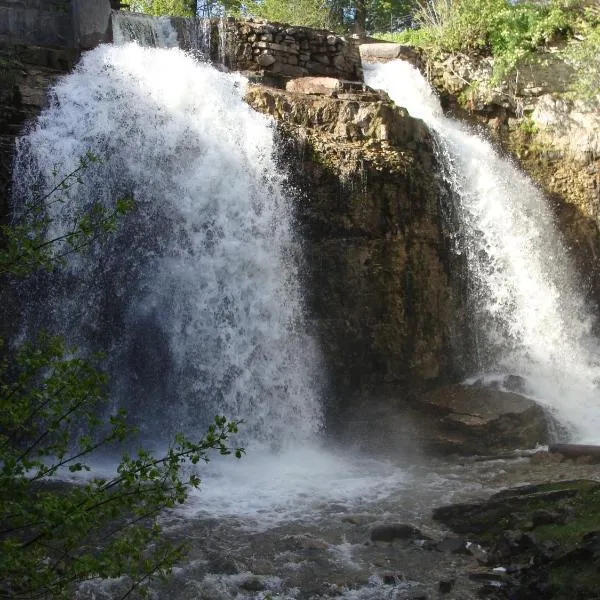 The Falls Inn - Walter Falls, hotel em Meaford