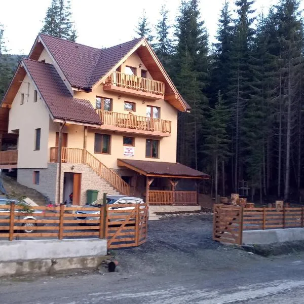 Vidra Parc, hotel v destinaci Voineasa