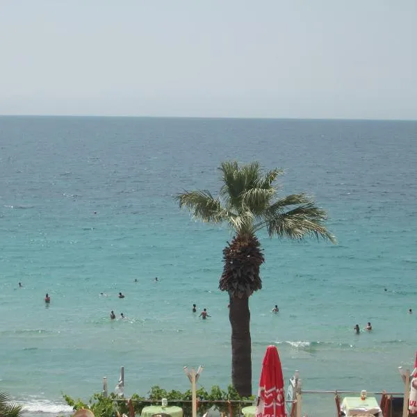 Villa Beach、クシャダスのホテル