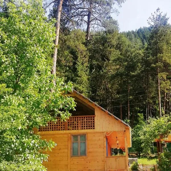 Guest House Ilia, hotel v destinaci Bordžomi