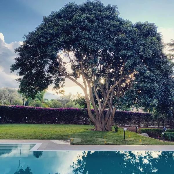 Il Giardino di Venere, hotel in Mondello