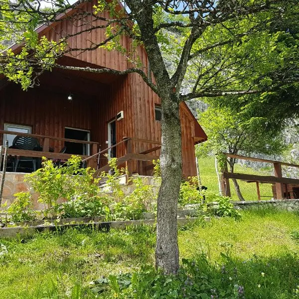 Detached house Milivoje, hotel in Pošćenje