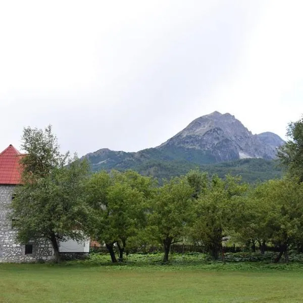 Guesthouse Jezerca, hotel in Valbonë