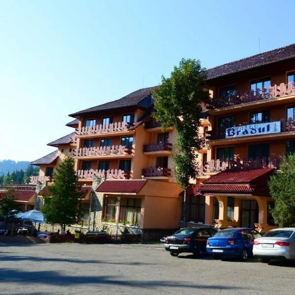 ホテル ブラドゥル（Hotel Bradul）、ドゥラウのホテル